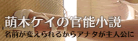 萌木ケイの官能小説