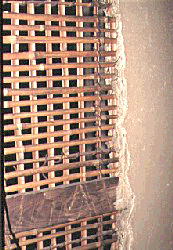 �y��