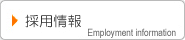 �̗p���