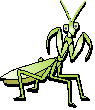 �u�ނ��v��
