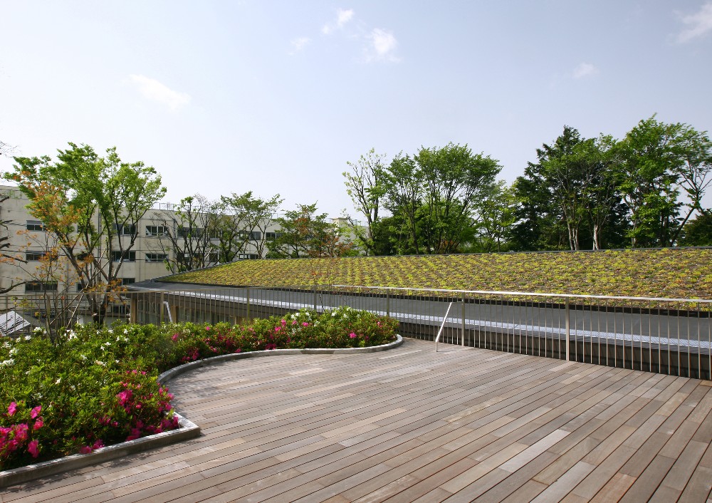石神井図書館