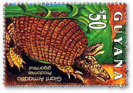 �I�I�A���}�W��