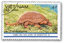 �I�I�A���}�W��