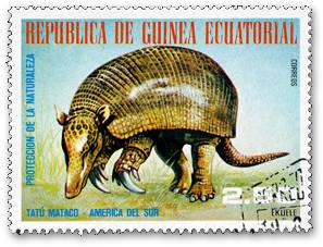 �I�I�A���}�W��