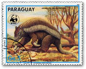 �I�I�A���}�W��