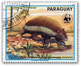 �I�I�A���}�W��