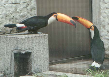 �I�j�I�I�n�V