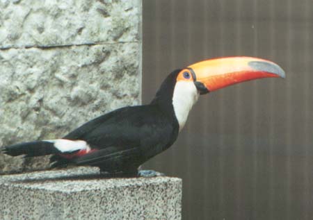 �I�j�I�I�n�V