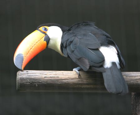 �I�j�I�I�n�V