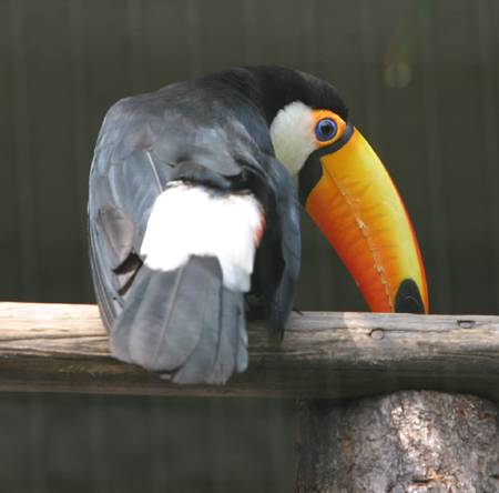 �I�j�I�I�n�V