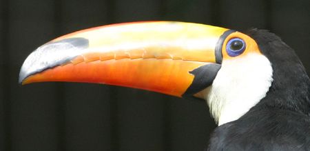 �I�j�I�I�n�V