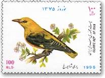 ニシコウライウグイス