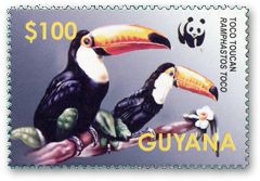 �I�j�I�I�n�V