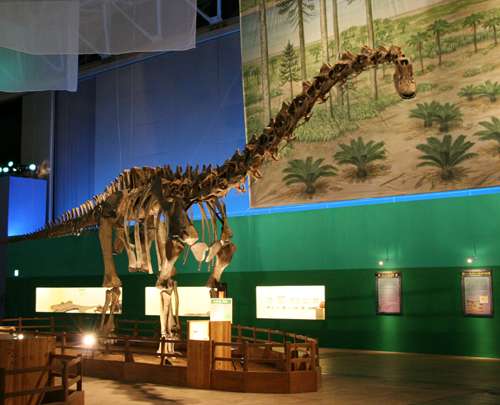 �f�B�v���h�N�X