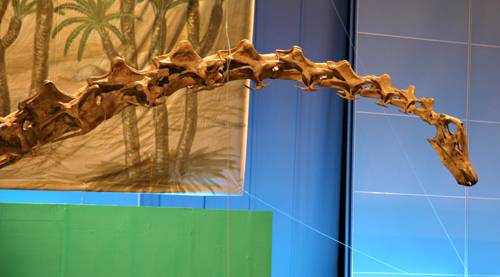 �f�B�v���h�N�X