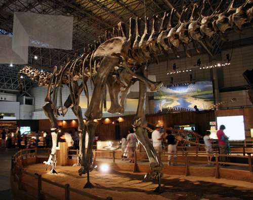 �f�B�v���h�N�X