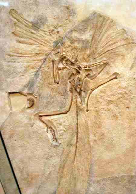 A[PIveNX