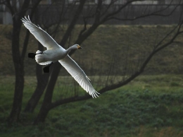 DSC_1121.jpg