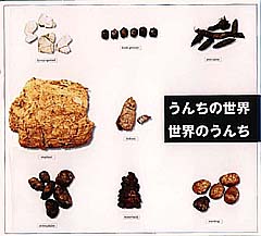 パンフレット