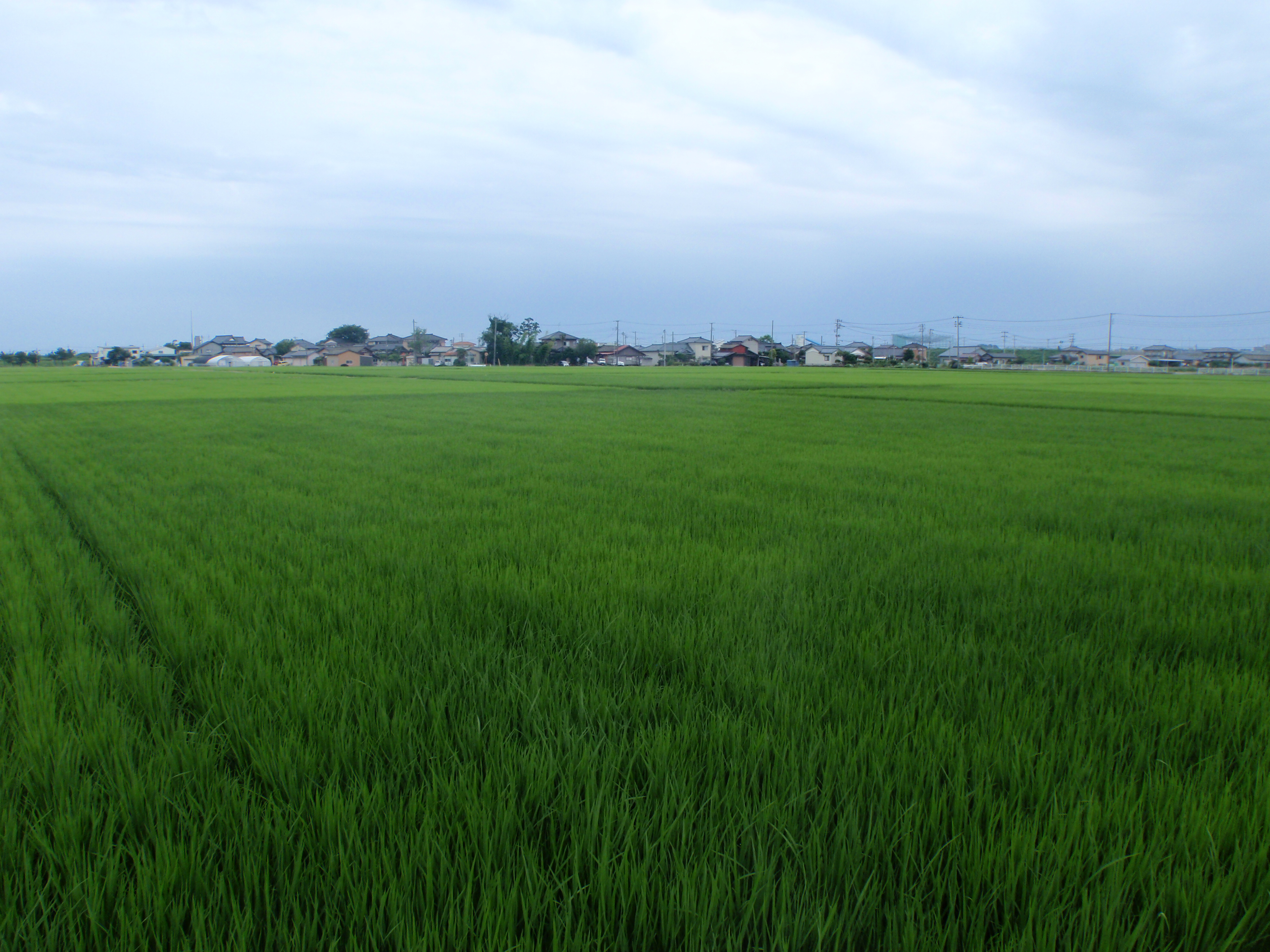 西山農場のページ