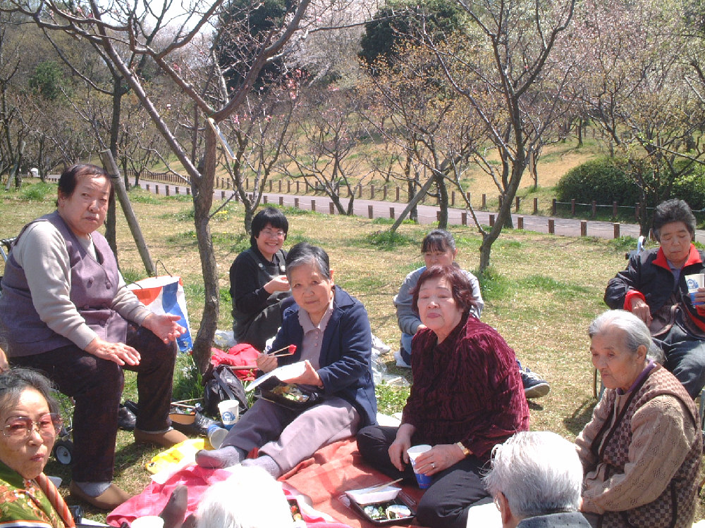 hanami�ʐ^