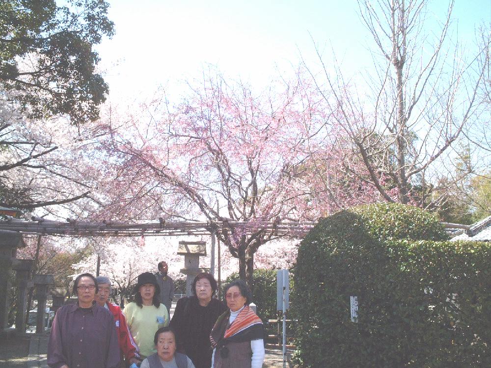 hanami2�ʐ^