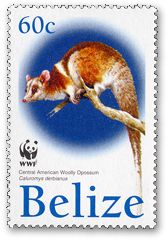 ZWE[[I|bT