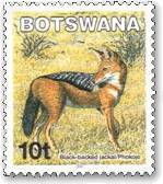 ZOWbJ