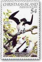 モモグロカツオドリ