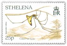 Golden Sail Spaider