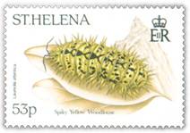 Spiky Yellow Woodlouse