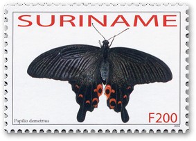 NAQn