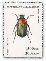 ocniO