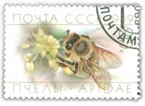 ZCE~co`
