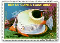 ZO`E`EEI
