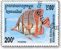 nViK`E`EEI