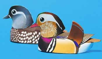 Papercraft imprimible y armable de un pato mandarín / mandarin duck. Manualidades a Raudales.